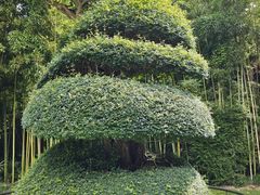 -苏州河梦清园环保主题公园