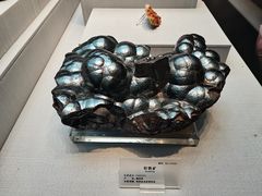 -湖南省地质博物馆