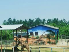 -西安秦岭野生动物园