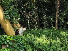 -成都市活水公园