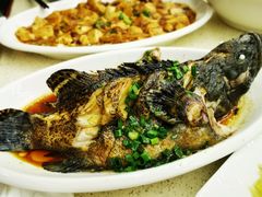 葱油石斑鱼-渔中舟海鲜大排档(普陀沈家门店)
