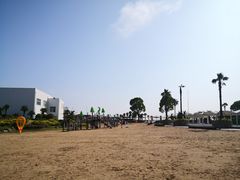 -碧海金沙