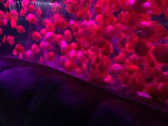 -左海海底世界
