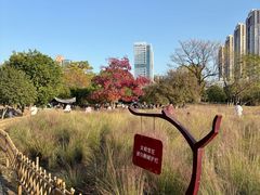 -艾溪湖湿地公园