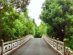 -同里国家湿地公园
