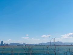 -养马岛旅游度假区
