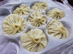-老班长手工灌汤包老店(东山店)