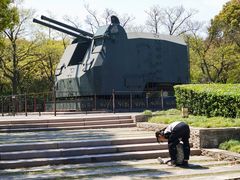 -上海吴淞炮台湾国家湿地公园