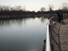 -永定河休闲森林公园