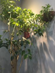 -discovery 发现 hair salon