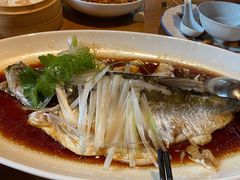 钱湖四宝-朋鱼-宁波柏悦酒店·钱湖渔港