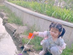 -皇粮浜湿地公园