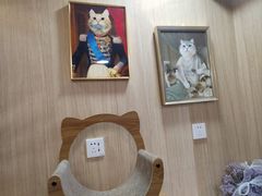 -MOCHA明星猫咖(田子坊店)