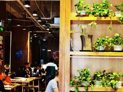 大堂-榆林镇筋饼(知春路店)