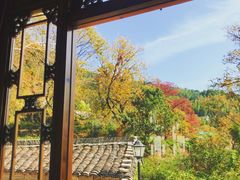 -塔川景区