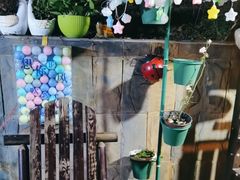 -鱼乐岛餐厅·户外花园主题餐厅