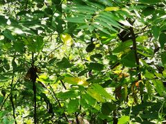 -北京西山国家森林公园