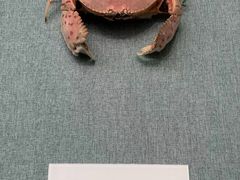 -上海中国航海博物馆