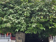 -章华寺