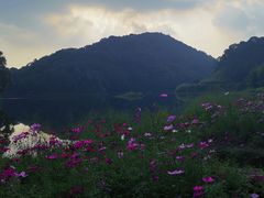 -广州市石门国家森林公园