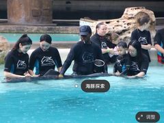 -新加坡水上探险乐园