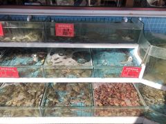 -东来菜馆•手抓海鲜家常菜•海鲜锅贴(鸽子窝店)