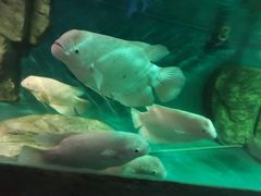 -泉州海丝野生动物世界