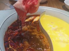 -青瓷火锅料理(西单大悦城店)