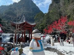 -刘伯温故里景区百丈漈