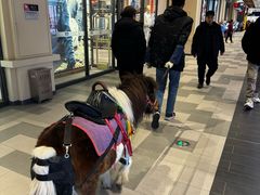 -王府井奥莱棋盘山小镇