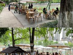 -成都市活水公园