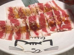 -猫爪爪原切自助烤肉(观音桥阳光世纪店)