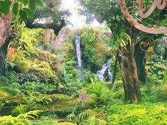 -Chom Cafe and Restaurant