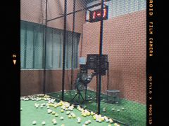 -fba篮球棒球射箭俱乐部