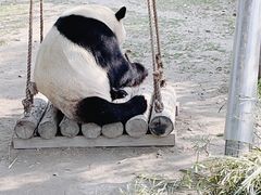 -上海野生动物园