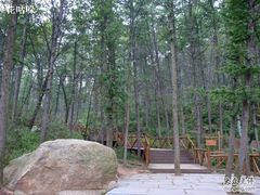 -鲁山国家森林公园