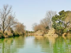 -西溪国家湿地公园