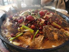 -老板恋上鱼(恒隆广场店)