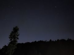 -扎佐老牌蹄膀·猪脚