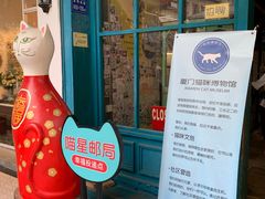 -猫咪博物馆(顶澳仔猫街店)