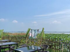 -七的湖·晚芳亭·阳澄湖农家菜·大闸蟹(莲花岛店)
