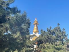 -护国法轮寺