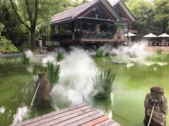 -静安公园(静安寺街道)
