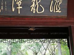 -汇龙潭