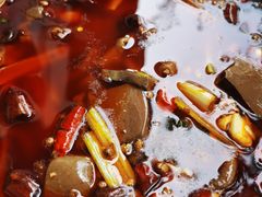 -廖老妈蹄花店(人民公园陕西街259号店)