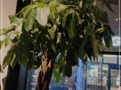 -West10 西拾·西餐厅·创意菜(未来科技城店)