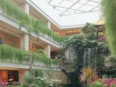 -广州白天鹅宾馆