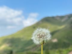 -灵山