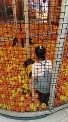 -嗨翻Hi-Fun竞技主题乐园·蹦床团建生日聚会(五棵松华熙店)