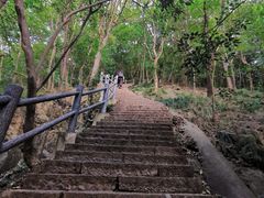 -紫金山山顶公园